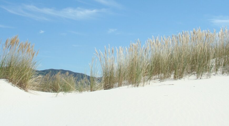 Dunas de Caldebarcos