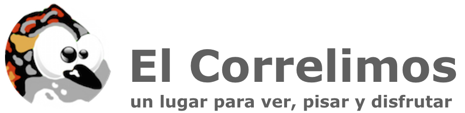 El Correlimos