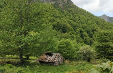 La Campona del Mungallu