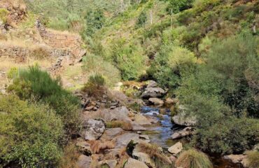 Río Caima