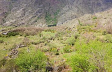 Refugio de los Mallosgallegos